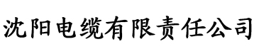 大香蕉久久电影电缆厂logo